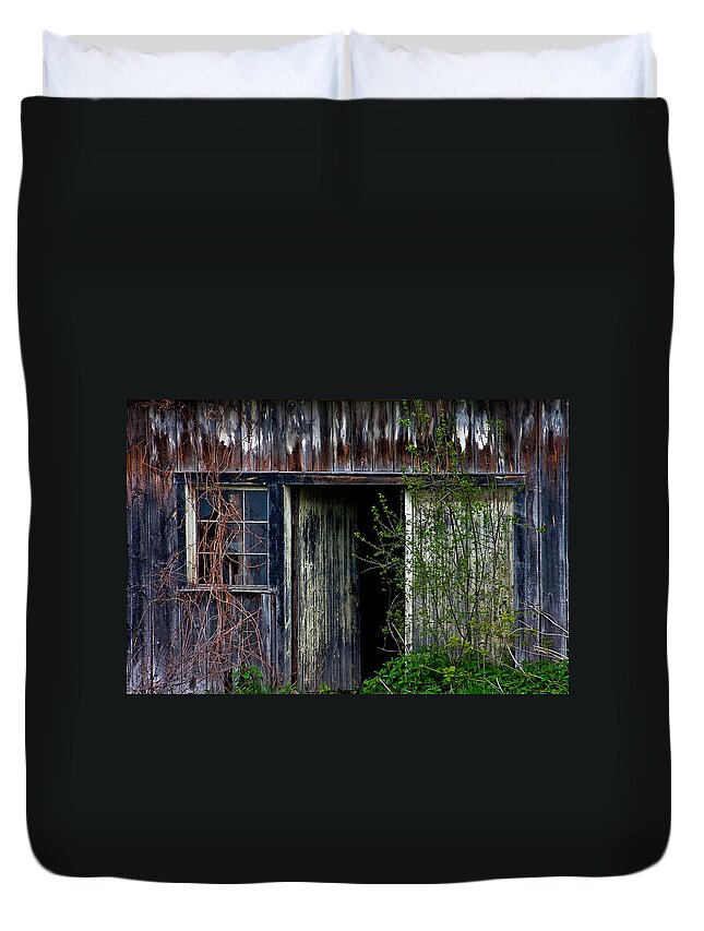  Duvet Cover featuring the photograph Window And Door by Burney Lieberman