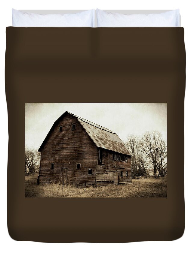 Barn Duvet Cover featuring the photograph Windows2 by Julie Hamilton