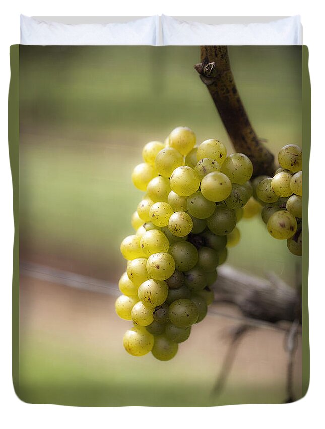 Grapes Duvet Cover featuring the photograph Wine Grapes by Leslie Leda
