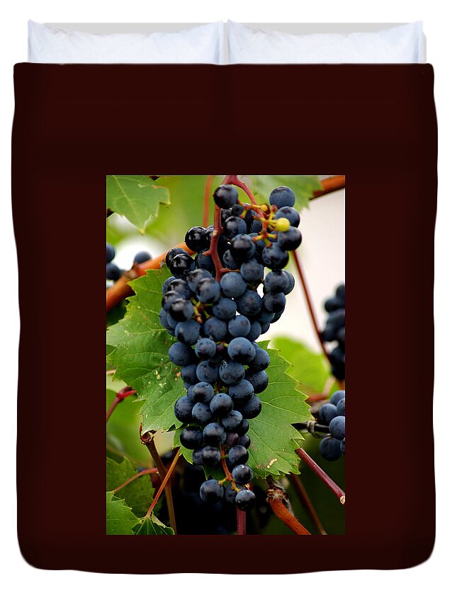 Usa Duvet Cover featuring the photograph Wine in the Leaves by LeeAnn McLaneGoetz McLaneGoetzStudioLLCcom