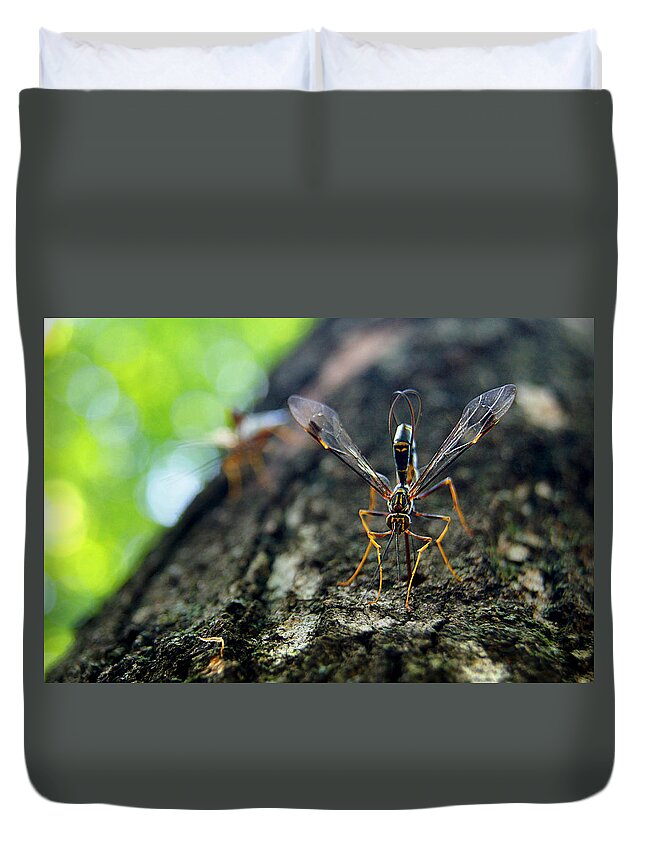 Strange Duvet Cover featuring the photograph Winged Wonder by Bill Pevlor