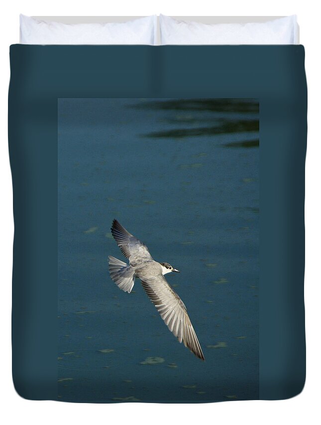 Asia Duvet Cover featuring the photograph Wings Over Water by Michele Burgess