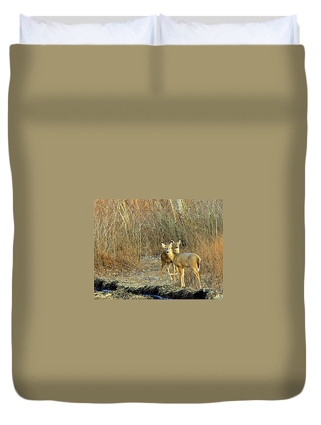 Deer Duvet Cover featuring the photograph Winter Does by Marty Koch
