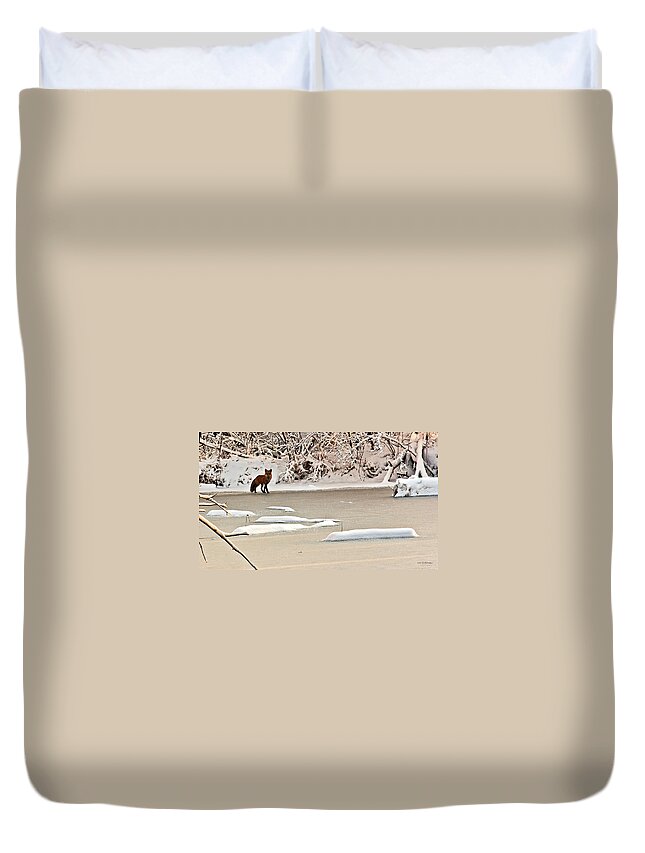 Fox Duvet Cover featuring the photograph Winter Fox by Ed Peterson