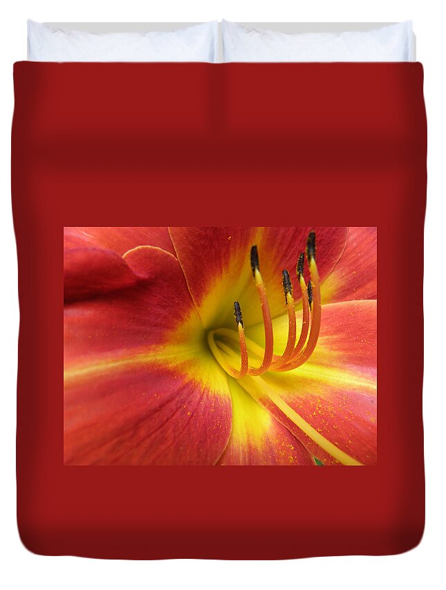 Day Lily Duvet Cover featuring the photograph With Great Detail by Kim Galluzzo
