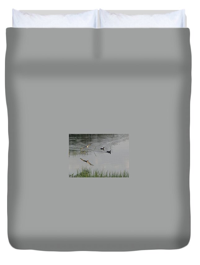 Wood Ducks Duvet Cover featuring the photograph Wood Ducks At Peace by Kim Galluzzo