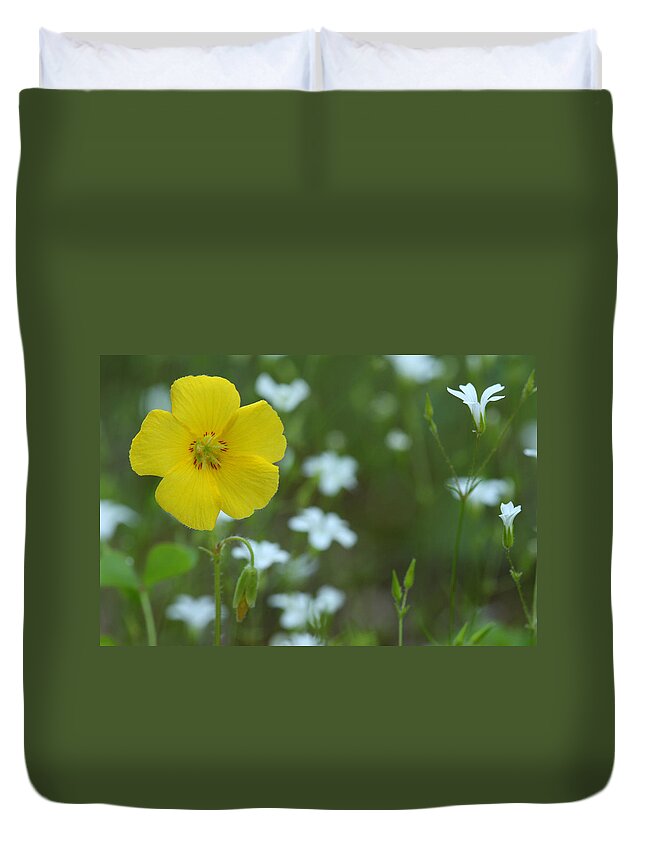 Wood Sorrel Duvet Cover featuring the photograph Wood Sorrel And Sandwort by Daniel Reed