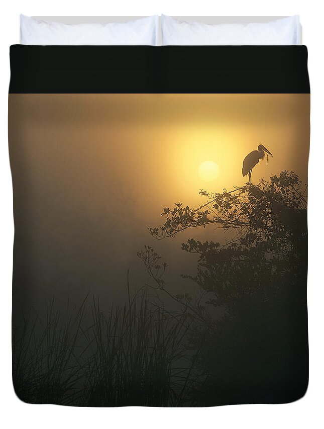 00174957 Duvet Cover featuring the photograph Wood Stork Perched In Tree Everglades by Tim Fitzharris