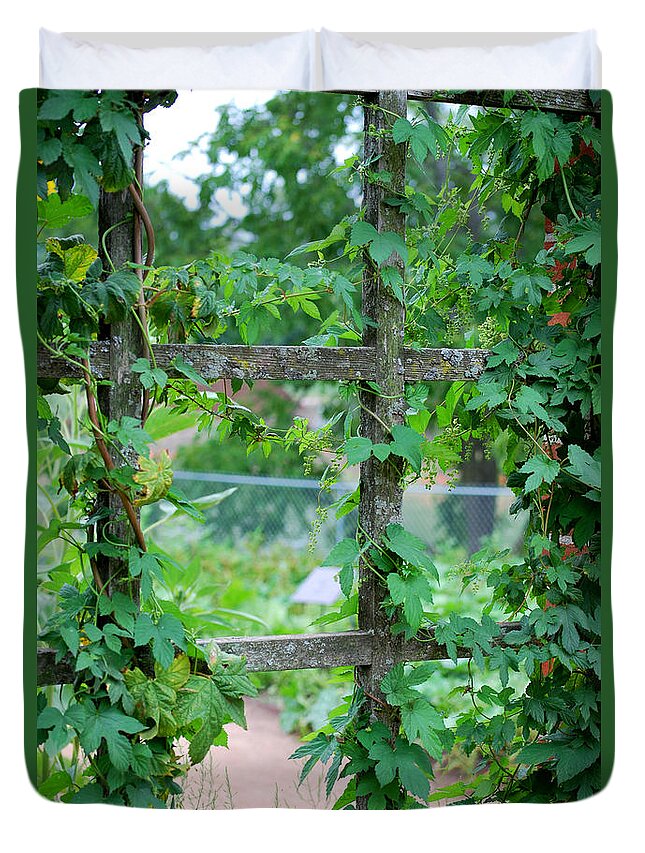 Trellis Duvet Cover featuring the photograph Wooden Trellis and Vines by Nancy Mueller