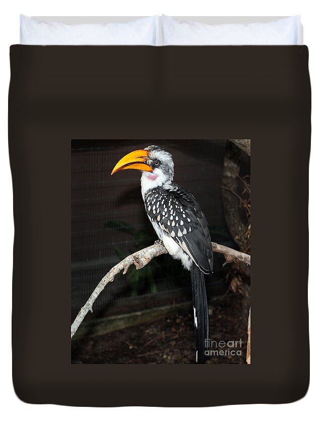 Hornbill Duvet Cover featuring the photograph Yellow-Billed Hornbill by Kathy White
