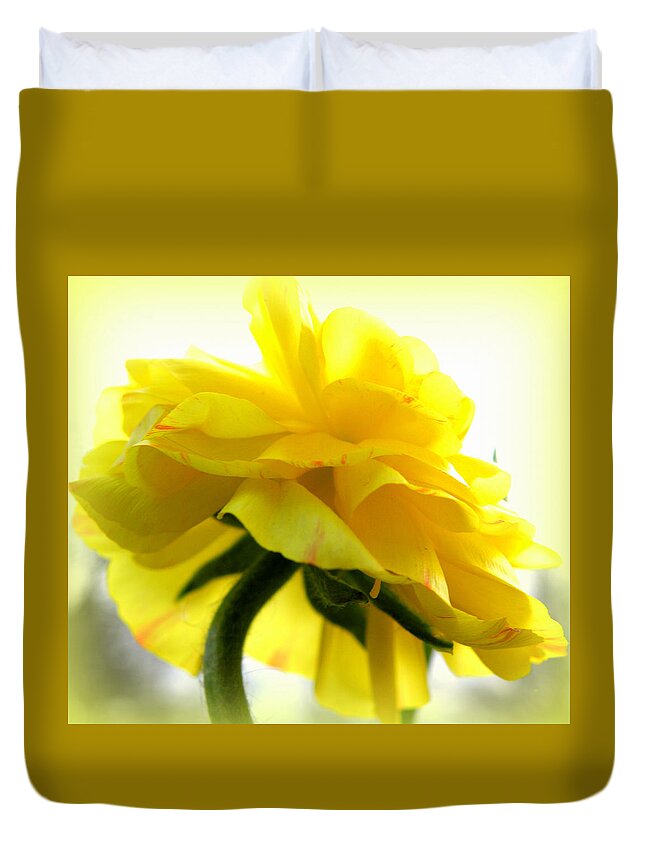 Ranunculus Duvet Cover featuring the photograph Yellow Glow In The Sun by Kim Galluzzo Wozniak