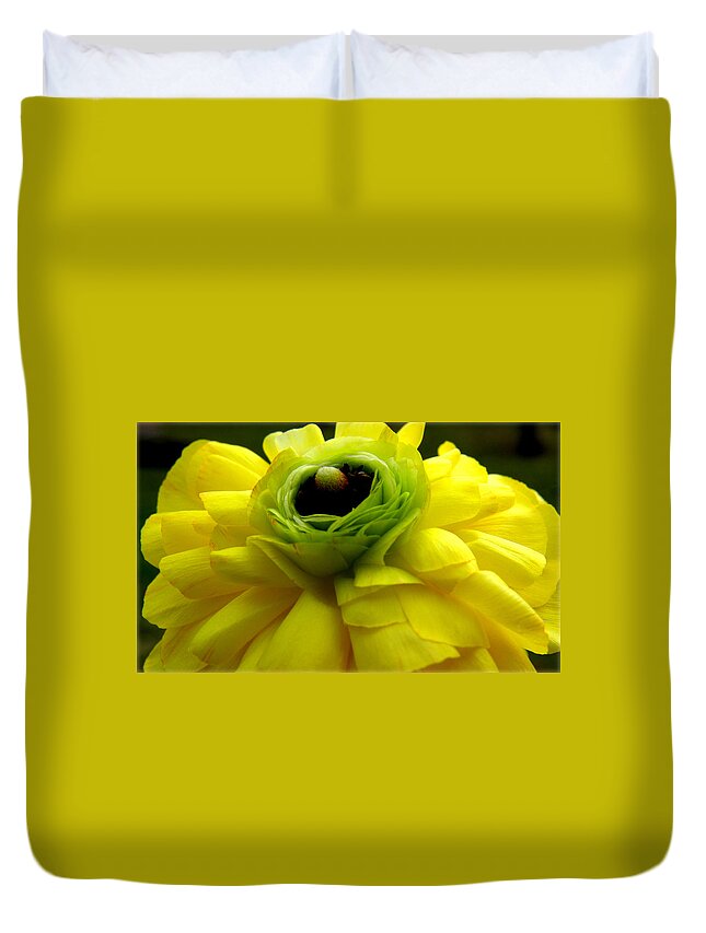 Ranunculus Duvet Cover featuring the photograph Yellow Ranunculus Flower by Kim Galluzzo