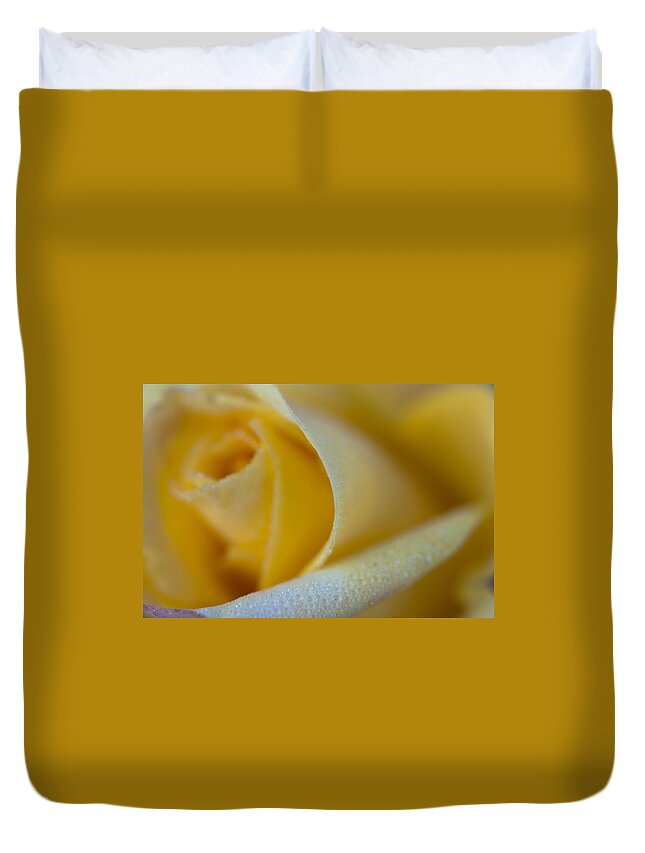 Rose Duvet Cover featuring the photograph Yellow Rose by Robert Caddy