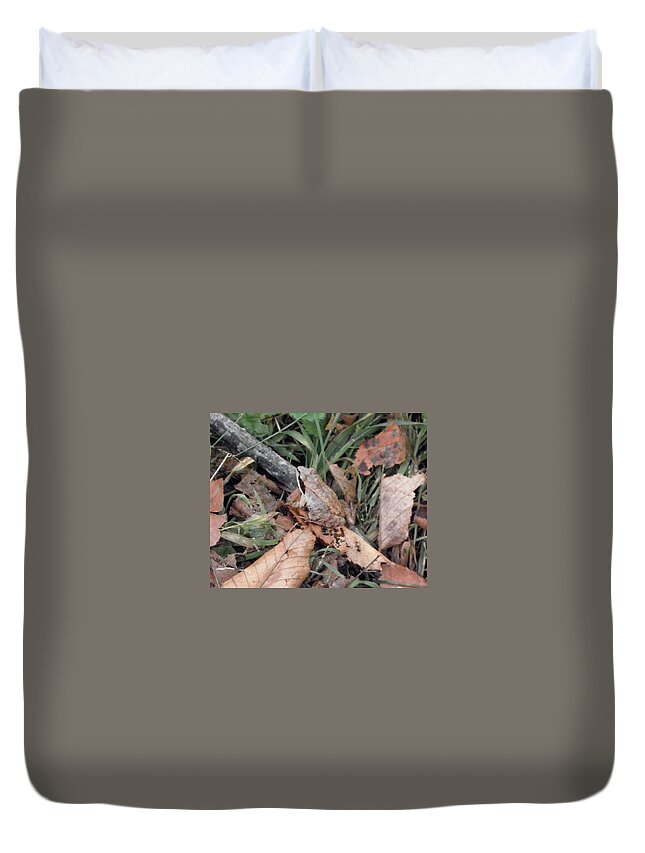 Frog Duvet Cover featuring the photograph yes I blend by Kim Galluzzo Wozniak