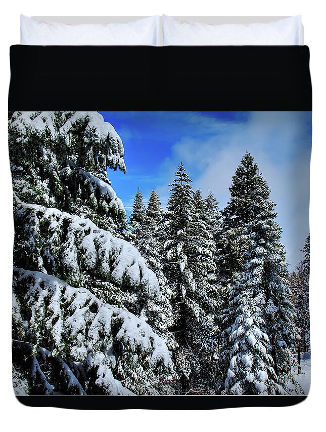 Snow Duvet Cover featuring the photograph Yosemite Snow by Sue Karski