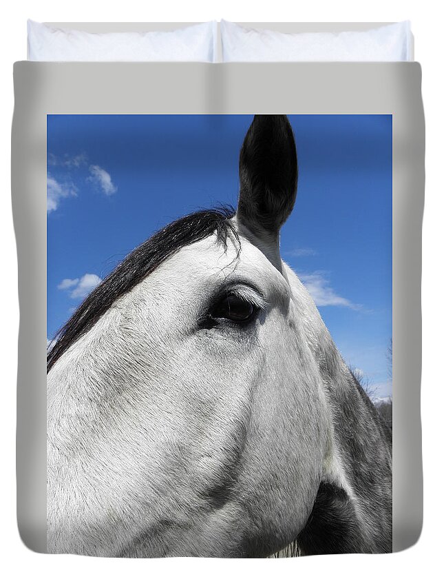 Horse Duvet Cover featuring the photograph You Lookin At Me by Kim Galluzzo