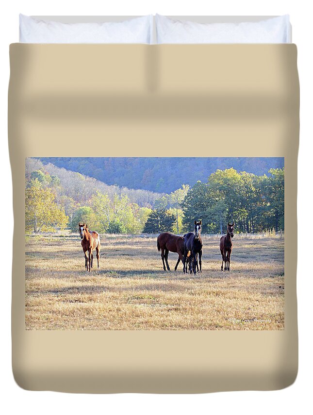 Thorougbred Race Horse Duvet Cover featuring the photograph 'Youngsters in the Paddock' by PJQandFriends Photography