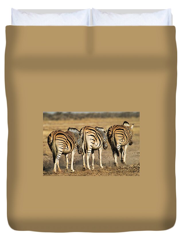 Action Duvet Cover featuring the photograph Zebras three by Alistair Lyne