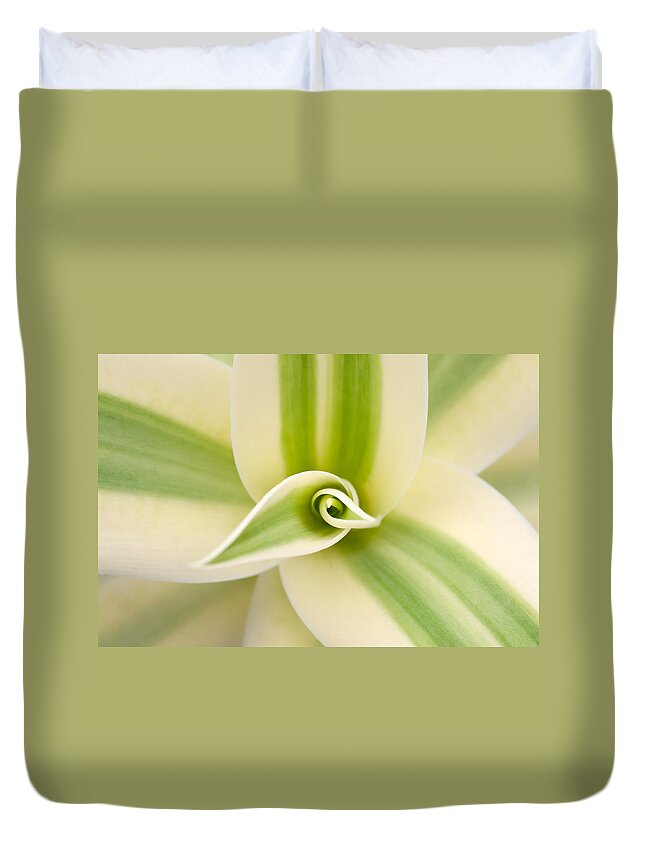Agave Duvet Cover featuring the photograph  Agave 3 by Catherine Lau