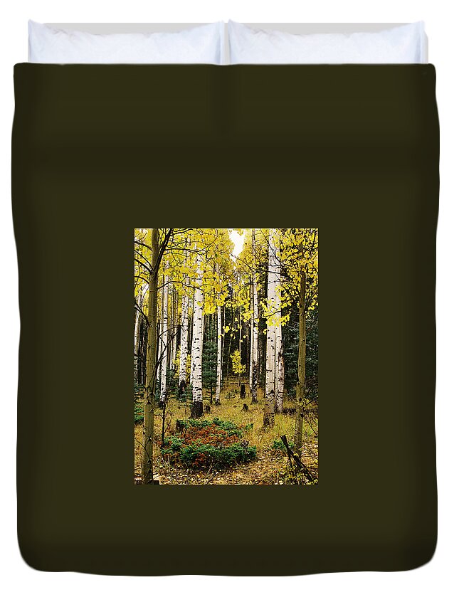 Red River Duvet Cover featuring the photograph Aspen Grove In Upper Red River Valley by Ron Weathers