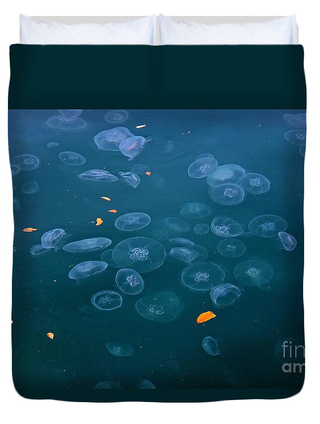  Moon Jellyfish Duvet Cover featuring the photograph Moon Jellyfishs by Yumi Johnson