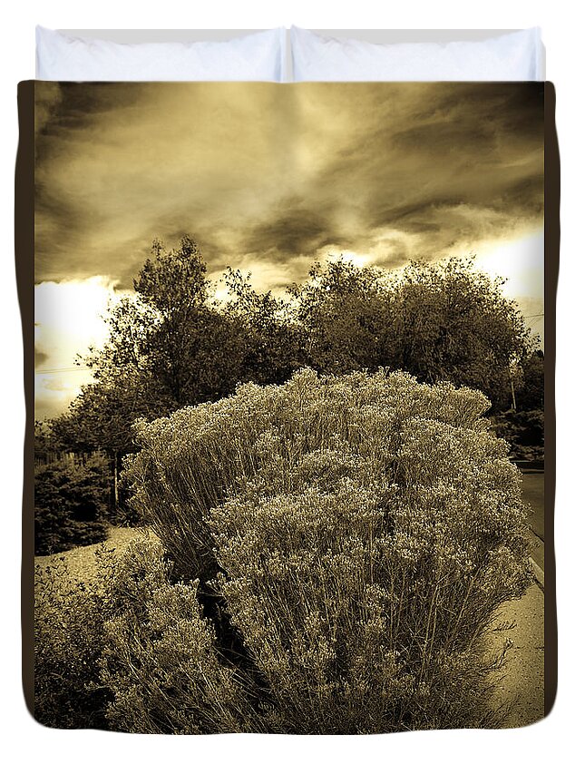Shrub Duvet Cover featuring the photograph Shrub in Santa Fe by Madeline Ellis