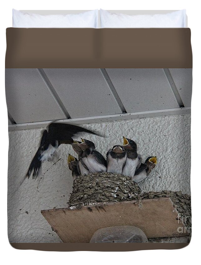  Swallow's Nest Duvet Cover featuring the photograph Swallows family by Yumi Johnson