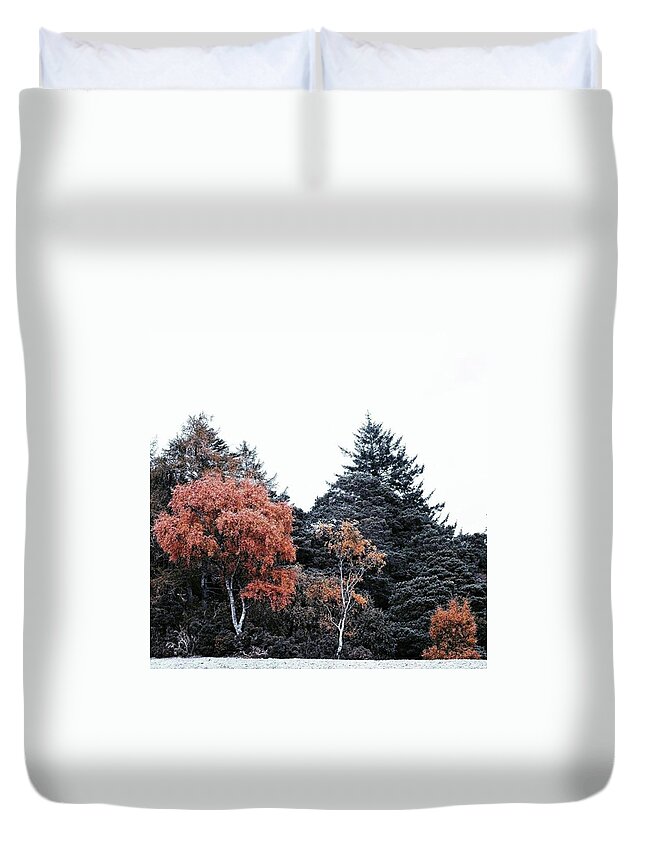 Trees Duvet Cover featuring the photograph • Wild Things •

late Night by Dan Cook