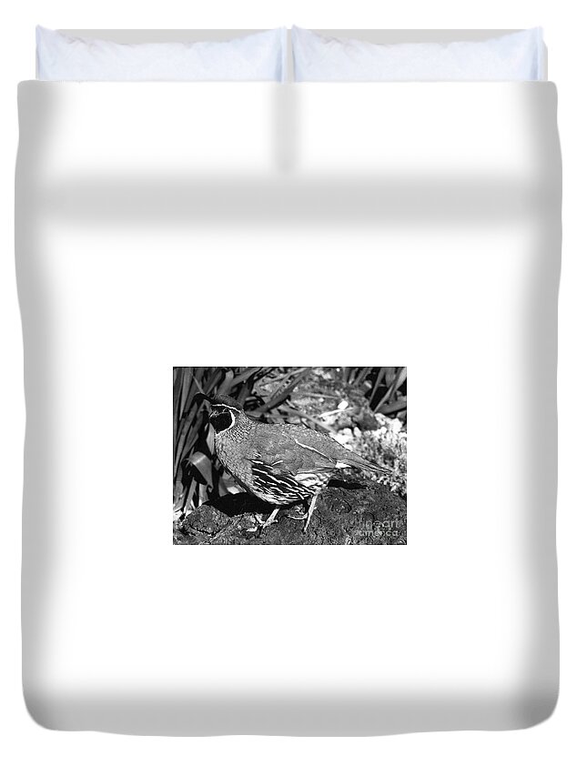 Nature Duvet Cover featuring the photograph 02_Introduction by Christopher Plummer
