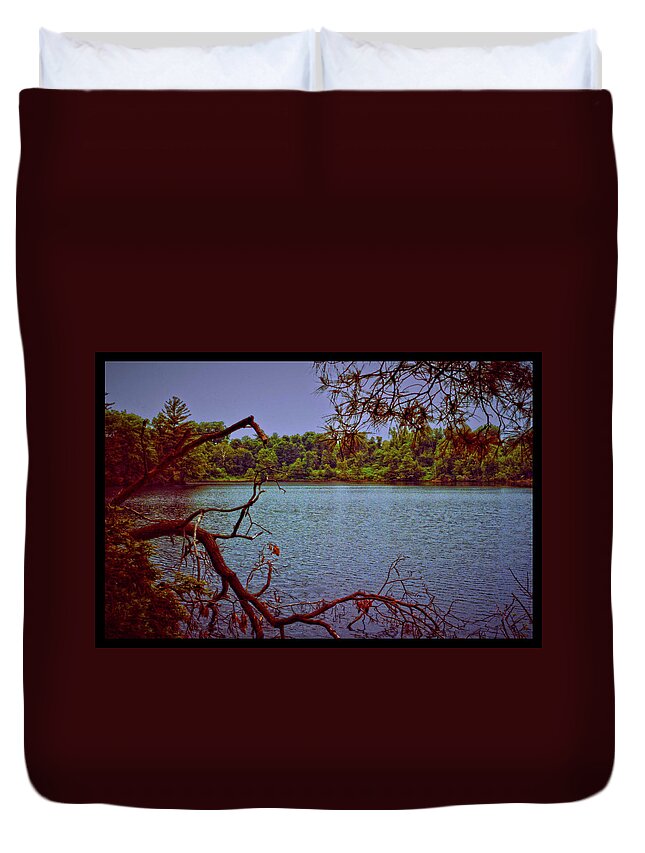 Pond Duvet Cover featuring the photograph 031307-74 by Mike Davis