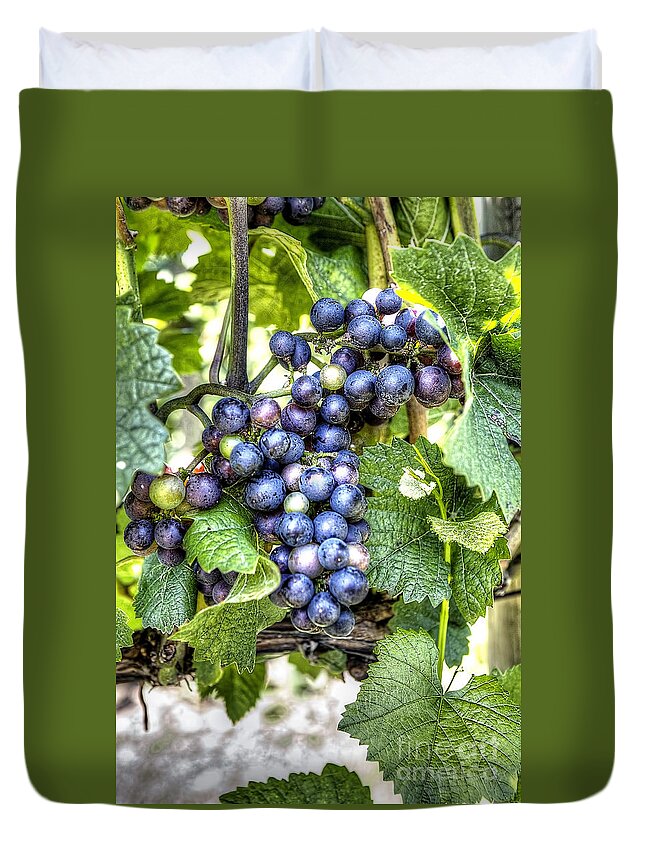 Grape Duvet Cover featuring the photograph 0984 Vineyard by Steve Sturgill