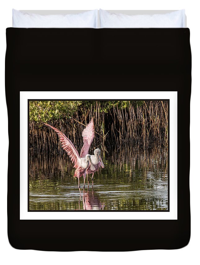 Spoonbills Duvet Cover featuring the photograph A Pair of Spoonbills #1 by Dorothy Cunningham