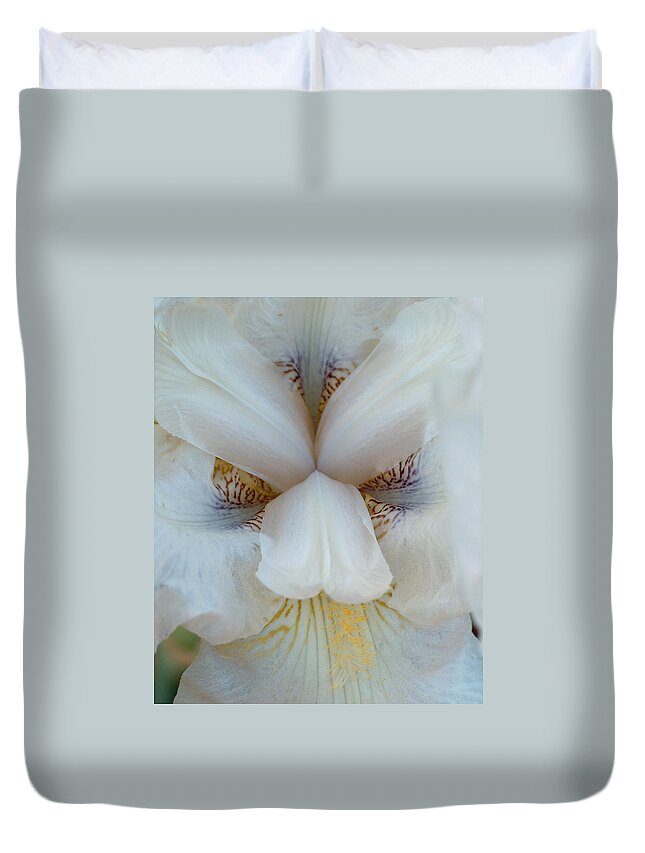 Iris Duvet Cover featuring the photograph Alabaster Bearded Iris #1 by Racquel Morgan