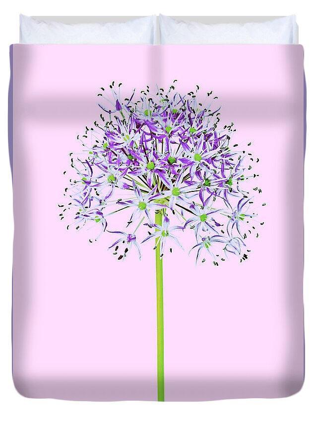 Flowers Flowers Duvet Cover featuring the photograph Allium #1 by Tony Cordoza