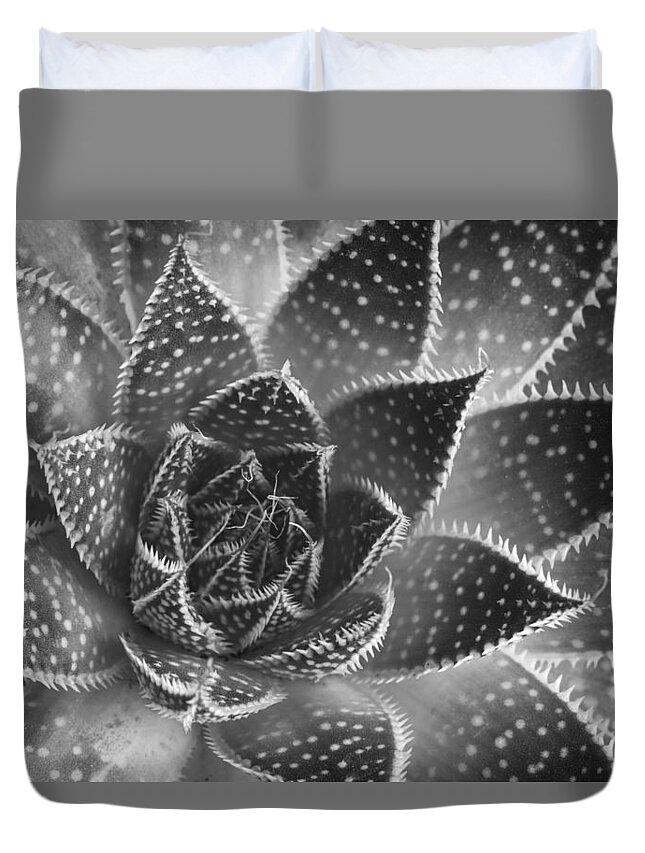 Aloe Aristata Duvet Cover featuring the photograph Aloe aristata Succulent Plant abstract details by Michalakis Ppalis
