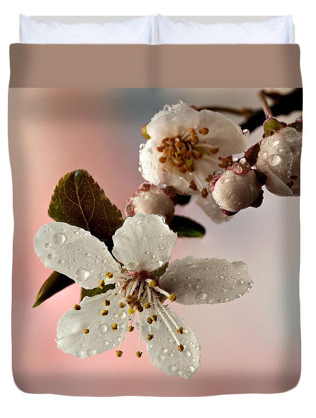 Anther Duvet Cover featuring the photograph Announcing Spring by Mary Jo Allen