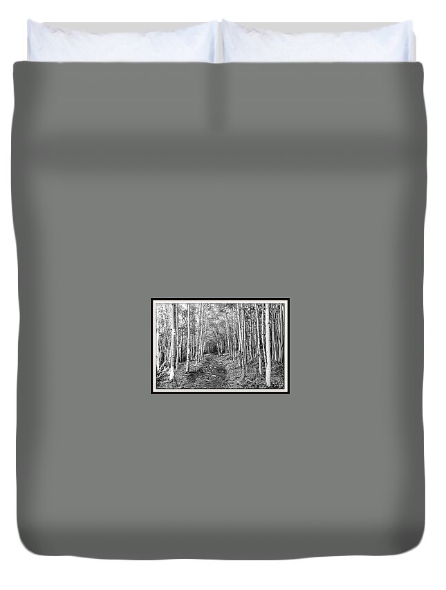 Aspen Duvet Cover featuring the photograph Aspen Forest by Farol Tomson