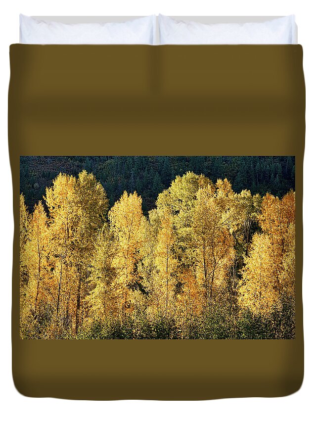 Aspens Duvet Cover featuring the photograph Aspens in Autumn III #1 by Leda Robertson