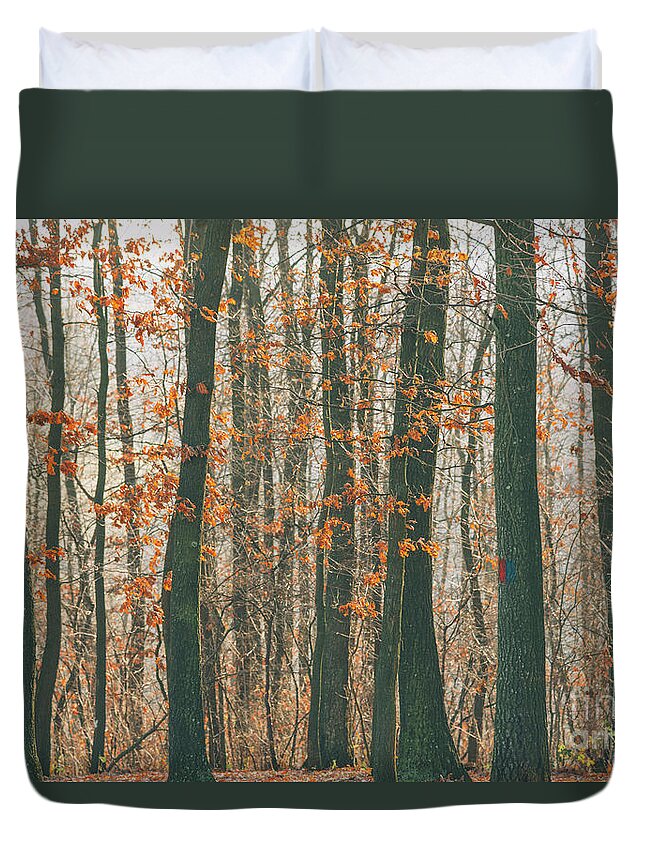 Landscape Duvet Cover featuring the photograph Autumn forest #1 by Jelena Jovanovic