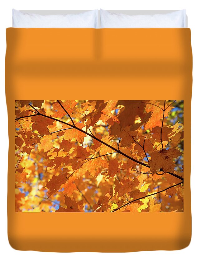 Leaves Duvet Cover featuring the photograph Autumn Leaves #1 by David Stasiak