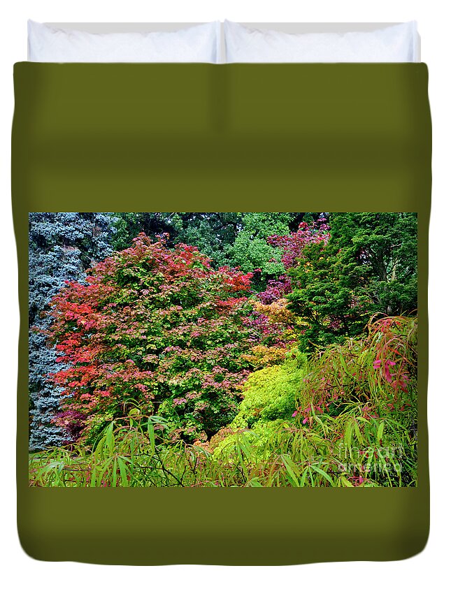 Trees Duvet Cover featuring the photograph Autumn Leaves #1 by Martyn Arnold