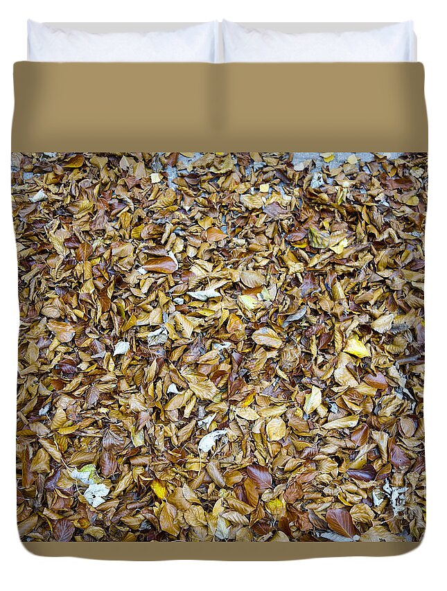 Autumn Duvet Cover featuring the photograph Autumn leaves #1 by Perry Van Munster