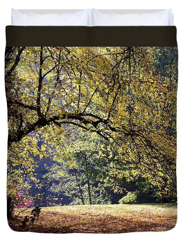 Autumn Duvet Cover featuring the photograph Autumn trees by Colin Rayner