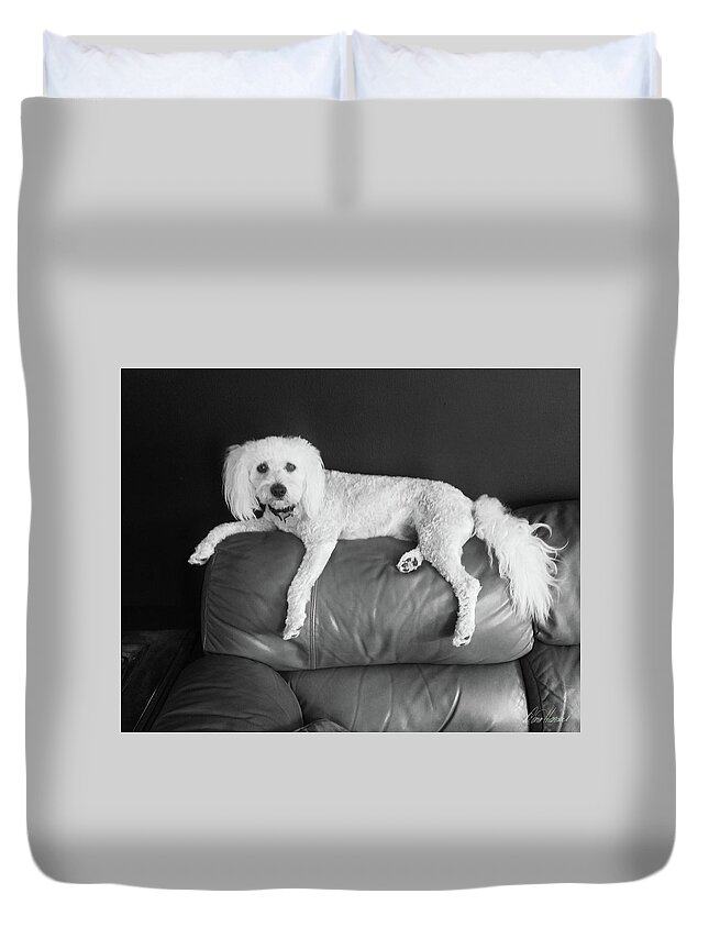 Cute Duvet Cover featuring the photograph Bailey #2 by Diana Haronis