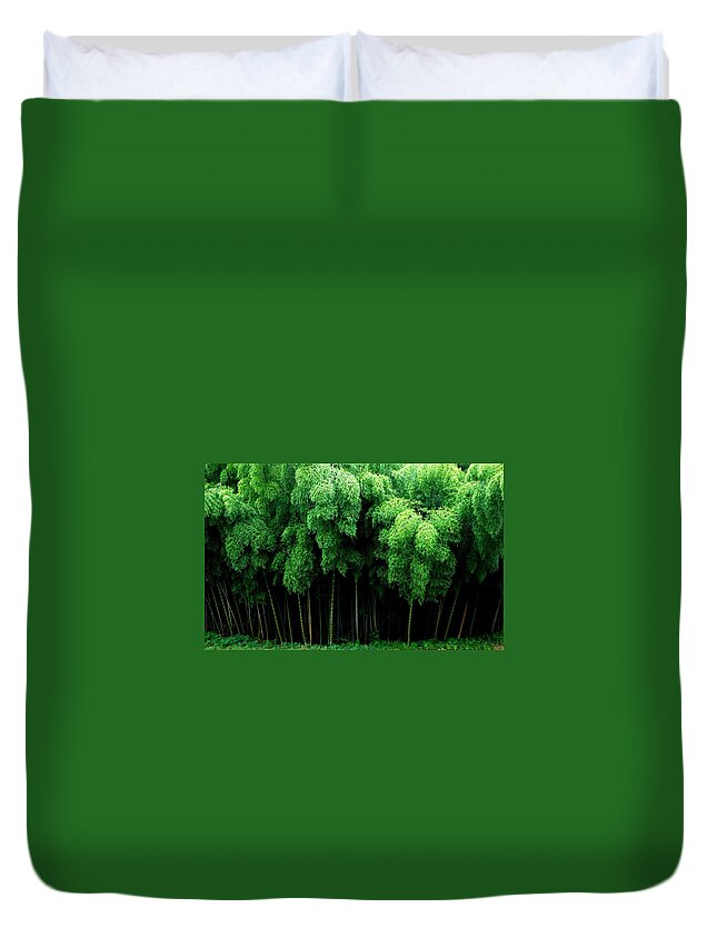 Bamboo Duvet Cover featuring the photograph Bamboo #1 by Jackie Russo
