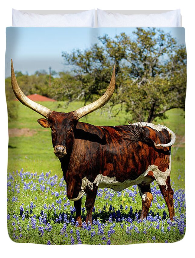 African Breed Duvet Cover featuring the photograph Beautiful longhorn bull by Raul Rodriguez