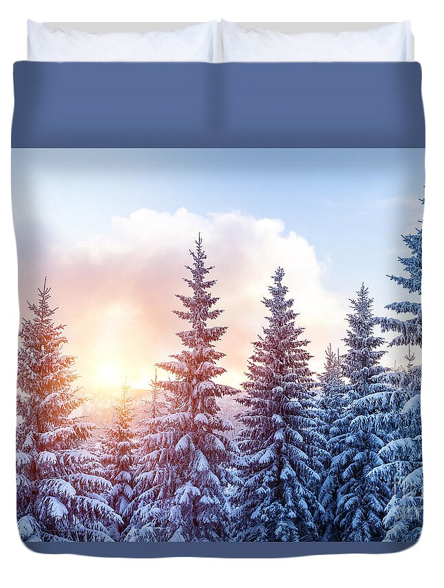 Alp Duvet Cover featuring the photograph Beautiful winter forest #1 by Anna Om