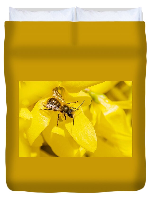 Bee Duvet Cover featuring the photograph Bee #1 by SAURAVphoto Online Store