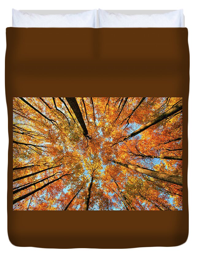 Forest Duvet Cover featuring the photograph Beneath the canopy #1 by Edward Kreis