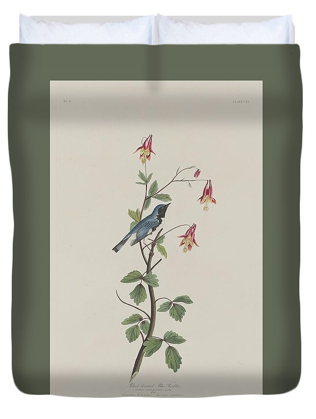 Audubon Duvet Cover featuring the drawing Black-Throated Blue Warbler #1 by Dreyer Wildlife Print Collections 